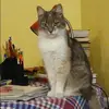 Отзыв от Вера Климова